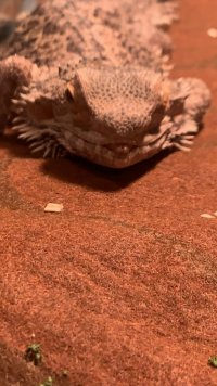 IMG_3749.jpeg