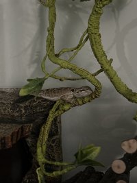 IMG_5946.jpeg