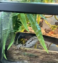 IMG_6096.jpeg
