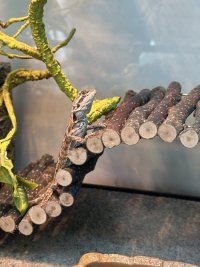 IMG_6160.jpeg
