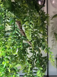 IMG_6055.jpeg