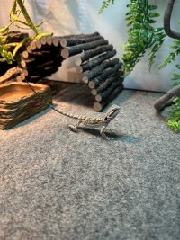 IMG_5927.jpeg