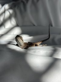 IMG_6164.jpeg