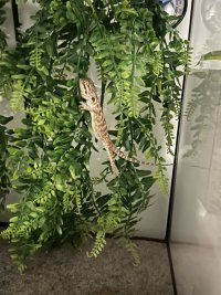 IMG_6220.jpeg