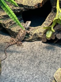 IMG_6177.jpeg