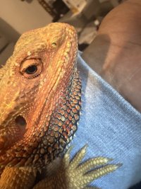 IMG_4635.jpeg