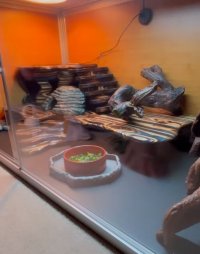 IMG_0374.jpeg