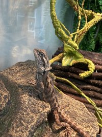 IMG_6287.jpeg