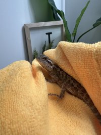 IMG_6261.jpeg