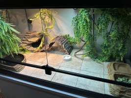 IMG_6301.jpeg