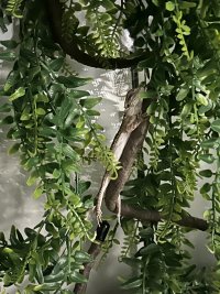 IMG_6312.jpeg