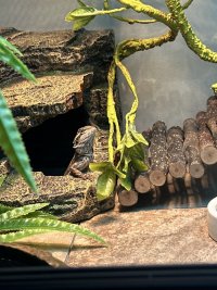 IMG_6349.jpeg