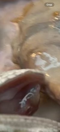 IMG_6400.jpeg