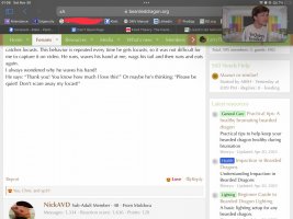 IMG_5608.jpeg