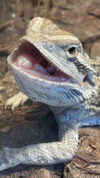 IMG_6992.jpeg