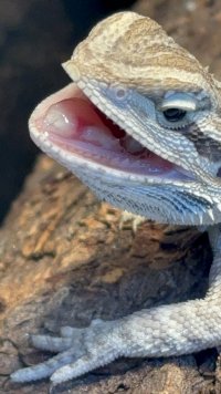 IMG_6991.jpeg