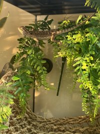 IMG_6547.jpeg