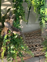IMG_6549.jpeg