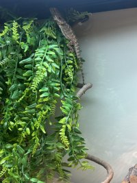 IMG_6546.jpeg