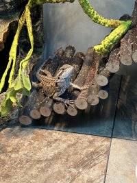 IMG_6505.jpeg