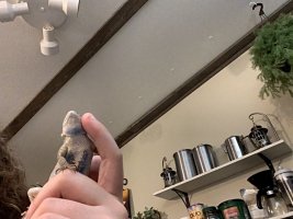 IMG_1076.jpeg