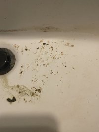 IMG_8365.jpeg