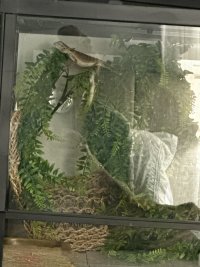 IMG_6700.jpeg