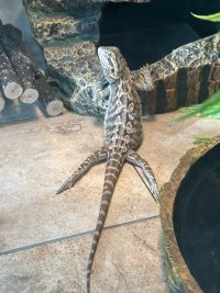 IMG_6640.jpeg