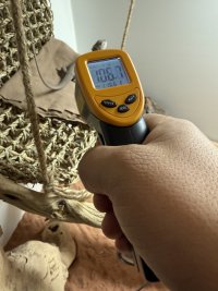 IMG_6427.jpeg