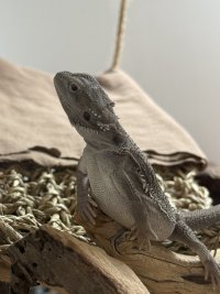 IMG_6425.jpeg