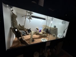 IMG_6391.jpeg