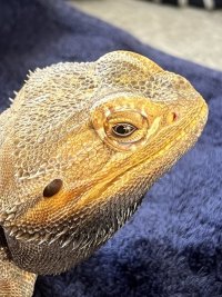 IMG_8868.jpeg