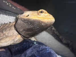 IMG_8854.jpeg