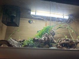 IMG_4532.jpeg