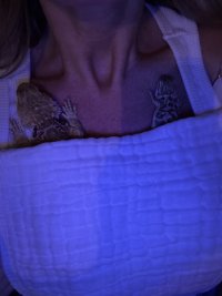 IMG_3211.jpeg