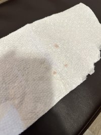 IMG_9008.jpeg