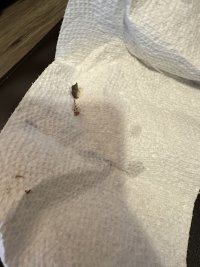 IMG_9009.jpeg