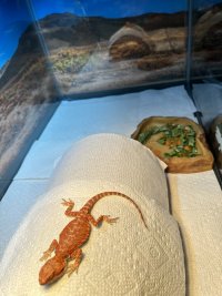 IMG_9040.jpeg