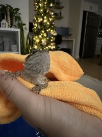 IMG_6794.jpeg