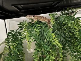 IMG_6844.jpeg
