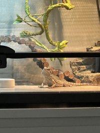 IMG_6895.jpeg