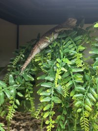 IMG_7099.jpeg