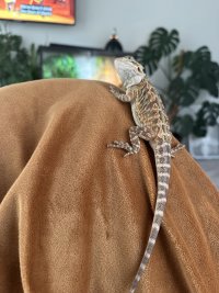 IMG_7158.jpeg