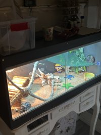 IMG_1362.jpeg