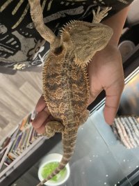 IMG_0593.jpeg