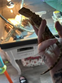 IMG_1368.jpeg