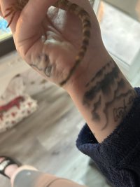 IMG_1369.jpeg