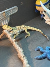 IMG_1372.jpeg