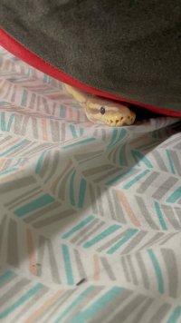IMG_0413.jpeg