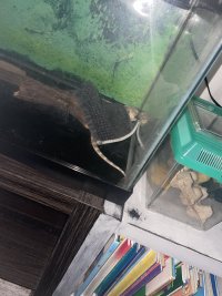 IMG_0424.jpeg